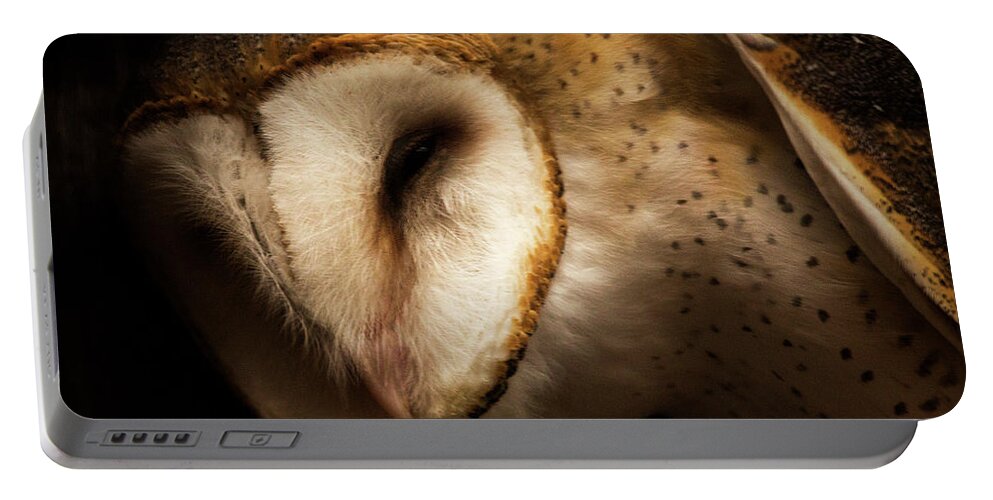 Owl Portable Battery Charger featuring the photograph Barn Owl by Bob Cournoyer