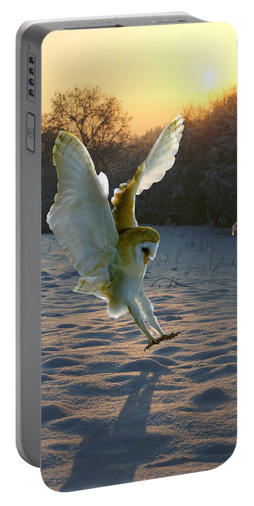 A Barn Owl Portable Battery Charger featuring the photograph Barn owl in snowy sunset by Warren Photographic