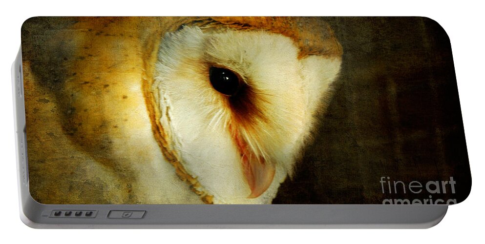 Owl Portable Battery Charger featuring the photograph Barn Owl by Lois Bryan