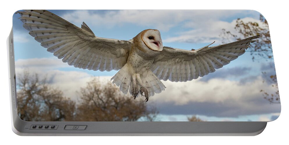 Barn Owl Portable Battery Charger featuring the photograph Barn Owl Makes a Happy Landing by Tony Hake