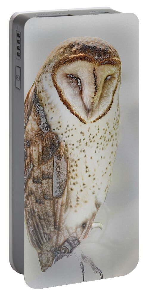 Barn Owl Portable Battery Charger featuring the photograph Barn Owl by Robert Mitchell