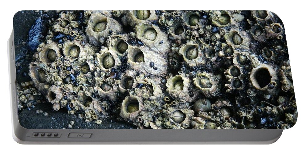 Barnacles Portable Battery Charger featuring the photograph Barnacles Rock by Gallery Of Hope 