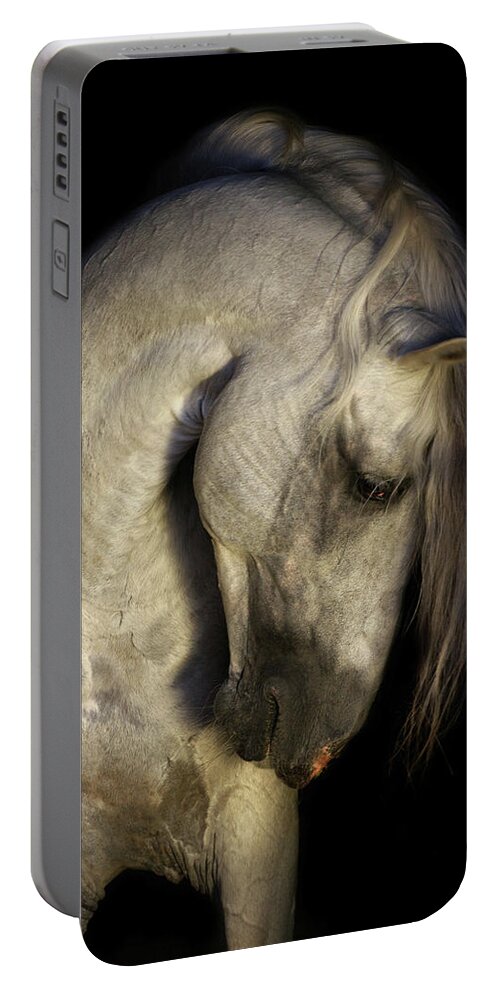 Russian Artists New Wave Portable Battery Charger featuring the photograph Baroque Horse Portrait by Ekaterina Druz