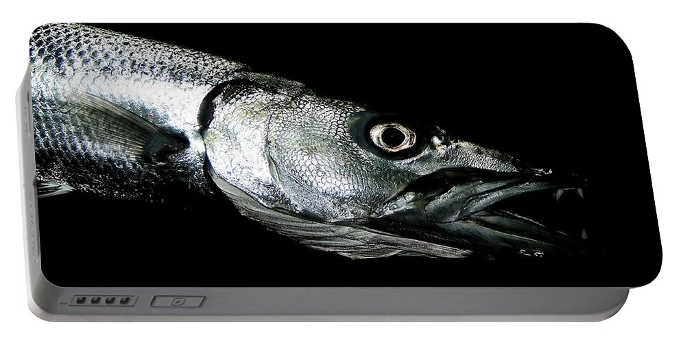Fish Portable Battery Charger featuring the photograph Barracuda by Paulette Thomas