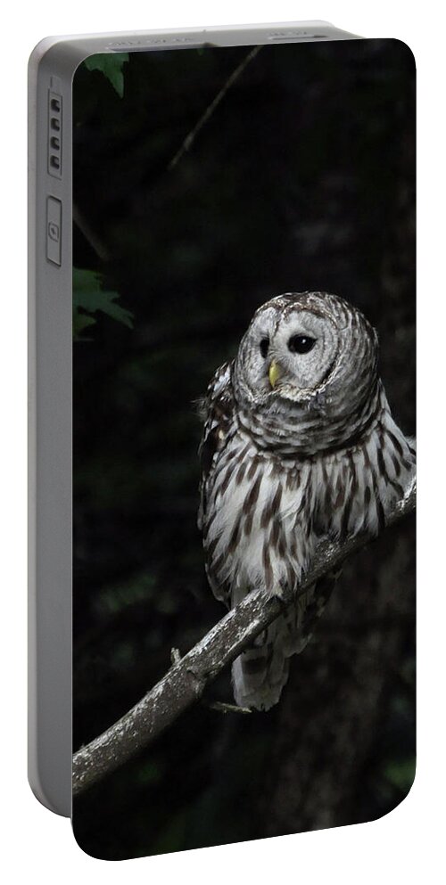 Owl Portable Battery Charger featuring the photograph Barred Owl 2 by Glenn Gordon