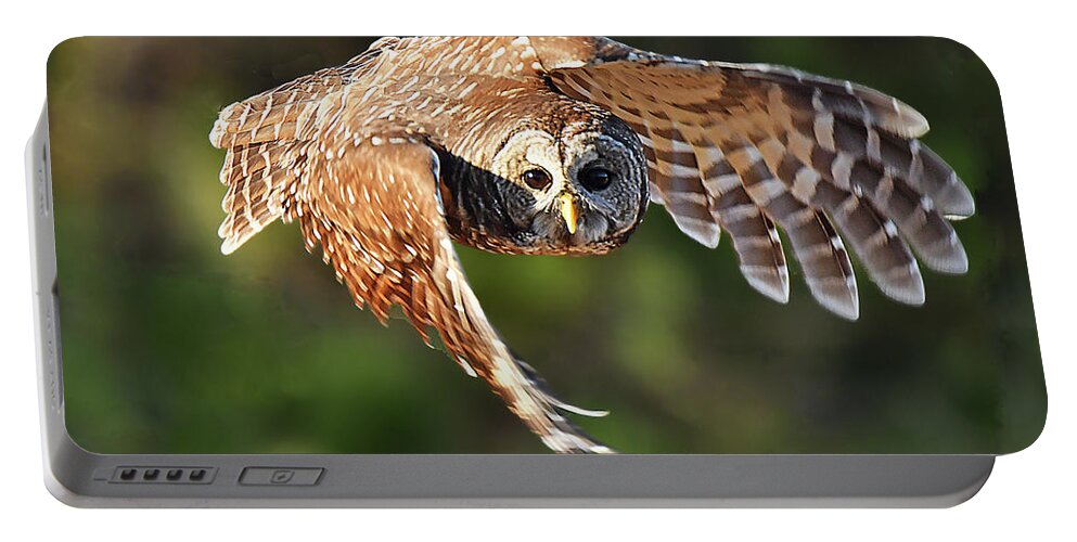 Bird Portable Battery Charger featuring the photograph Barred Owl Flying toward You by Alan Lenk