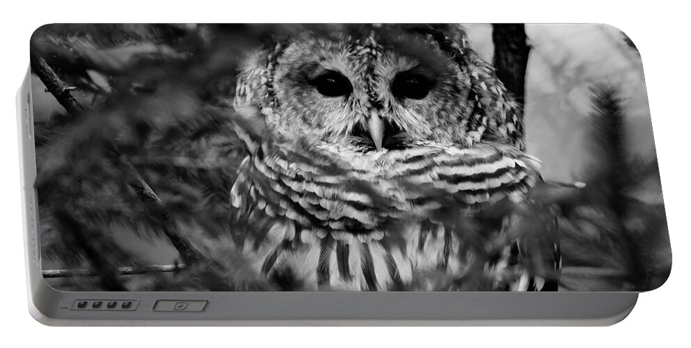 Barred Owl In Thought Portable Battery Charger featuring the photograph Barred Owl in Black and White by Tracy Winter