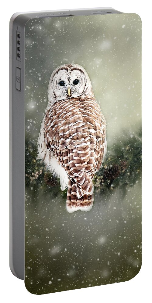 Barred Owl Print Portable Battery Charger featuring the photograph Barred Owl in the Snow by Gwen Gibson