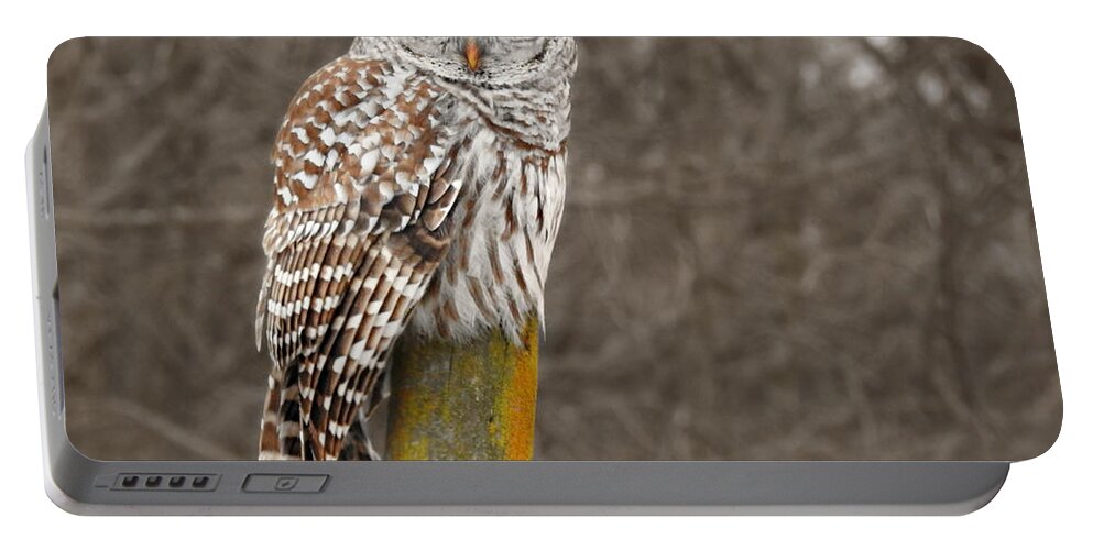 Barred Owl Portable Battery Charger featuring the photograph Barred Owl by Kathy M Krause