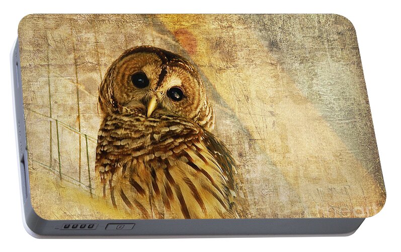 Owl Portable Battery Charger featuring the photograph Barred Owl by Lois Bryan