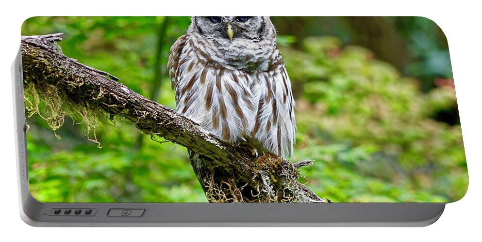 Bird Portable Battery Charger featuring the photograph Barred Owl by Michael Cinnamond
