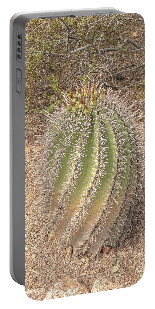 Cactus Portable Battery Charger featuring the digital art Barrel cactus by Darrell Foster