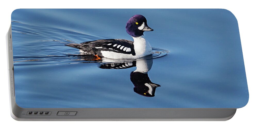 Mark Miller Photos Portable Battery Charger featuring the photograph Barrow's Goldeneye Duck by Mark Miller