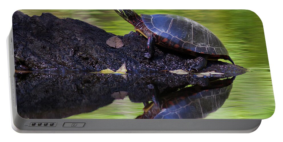 Turtle.water Portable Battery Charger featuring the photograph Basking Turtle by Douglas Stucky