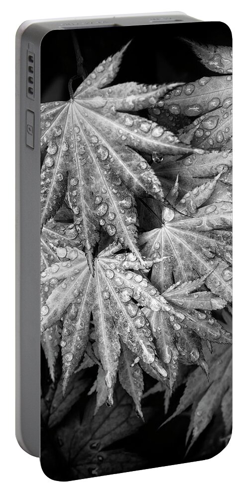 Flowers Portable Battery Charger featuring the photograph Bathed in Spring by Steven Clark