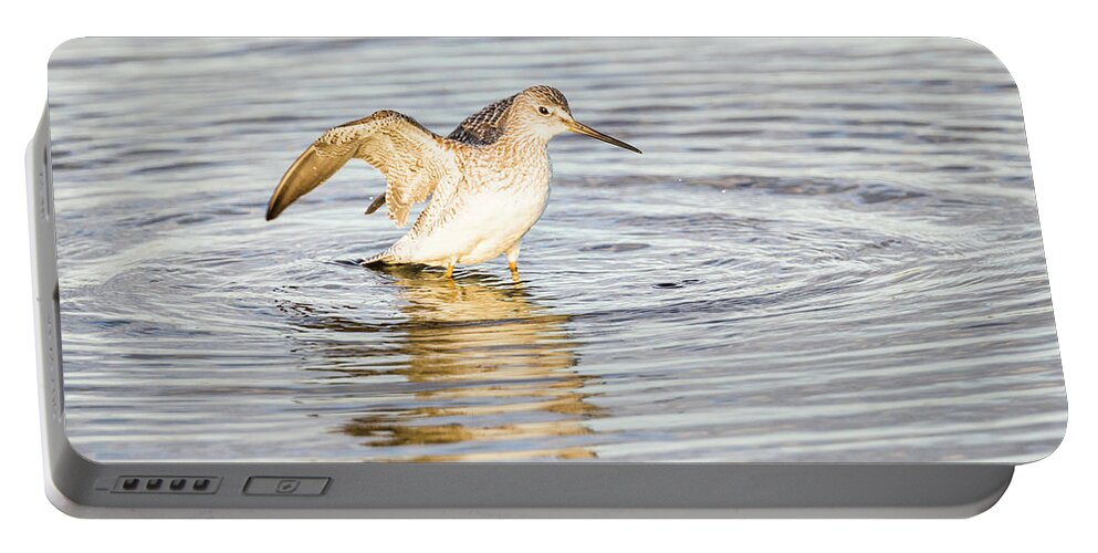 Bird Portable Battery Charger featuring the photograph Bathing Beauty by Fran Gallogly