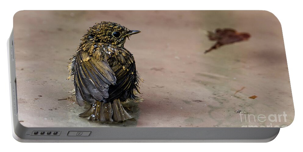 Bathing Robin Portable Battery Charger featuring the photograph Bathing by Torbjorn Swenelius