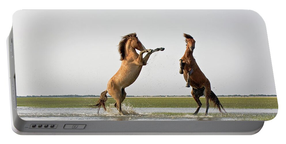 Wild Portable Battery Charger featuring the photograph Battling Mustangs by Bob Decker