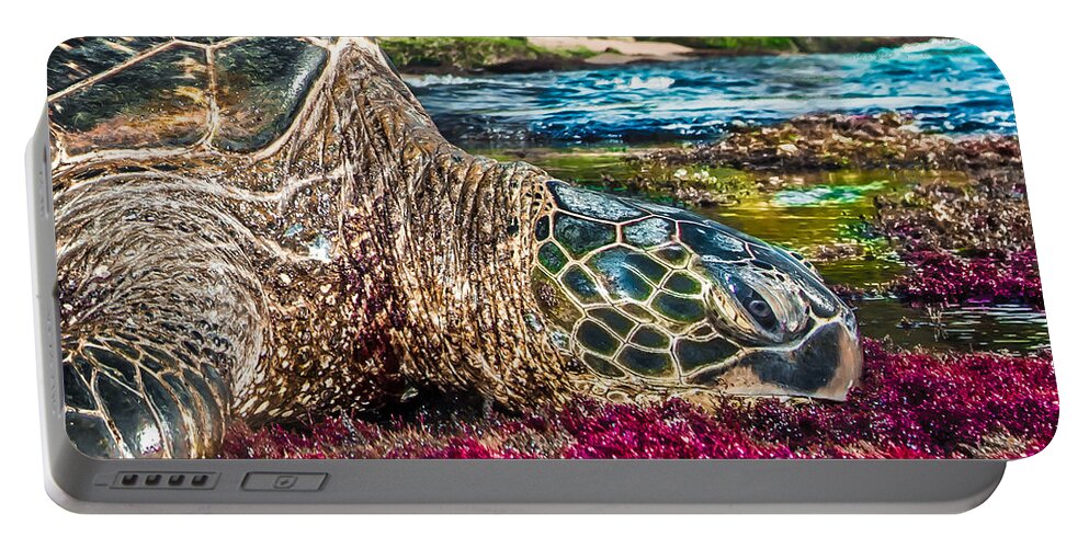 Sea Turtle Portable Battery Charger featuring the photograph Bay Sleeper by Leonardo Dale
