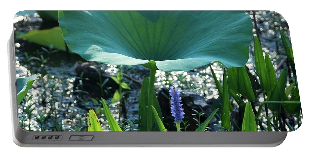 Bayou Portable Battery Charger featuring the photograph Bayou Morning Colors by John Glass