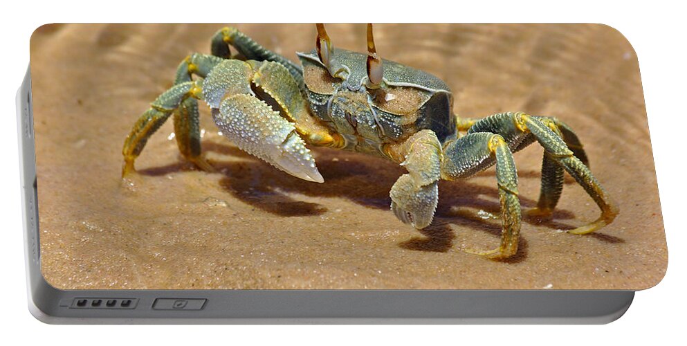 Vilanculos Portable Battery Charger featuring the photograph Bazaruto Crab by Jeremy Hayden