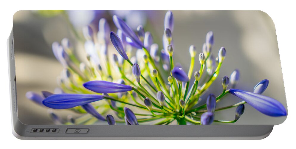 Flowers Portable Battery Charger featuring the photograph Bazinga by Derek Dean