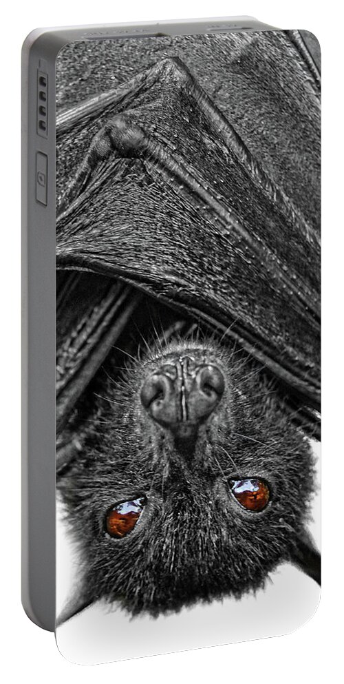 Bat Portable Battery Charger featuring the photograph Be Afraid by Yhun Suarez
