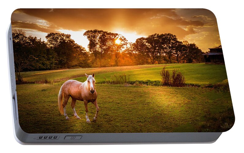 Horse Portable Battery Charger featuring the photograph Be My Friend by Marvin Spates