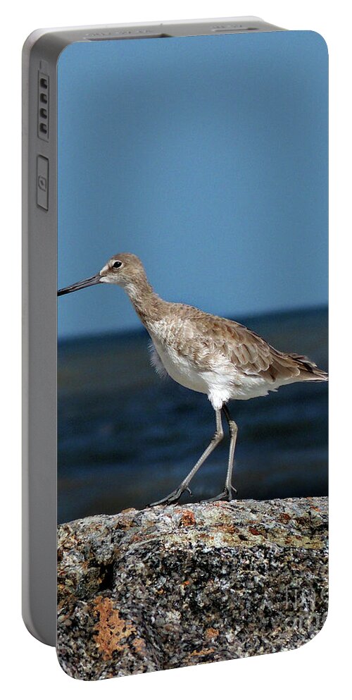  Portable Battery Charger featuring the photograph Beach Bird by Skip Willits