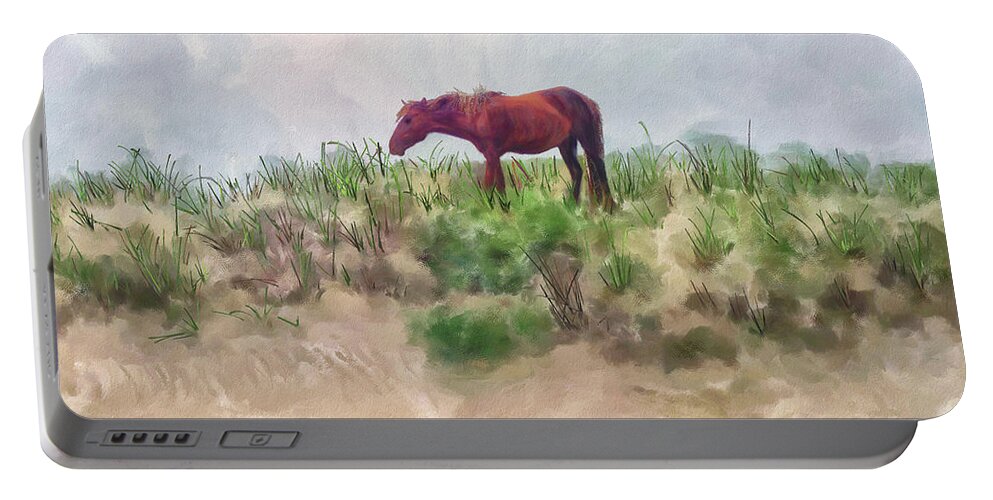 Horse Portable Battery Charger featuring the digital art Beach Boy by Lois Bryan