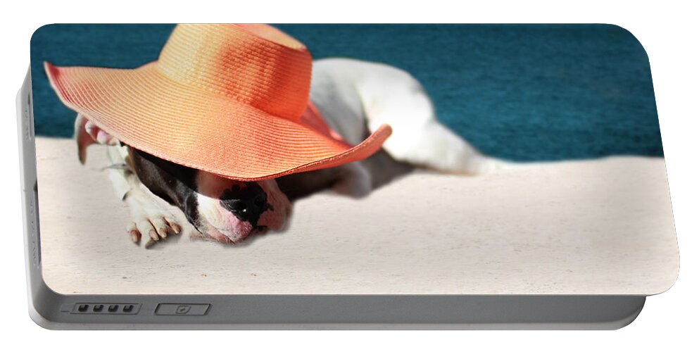 Beach Portable Battery Charger featuring the photograph Beach Day for Bubba by Shelley Neff
