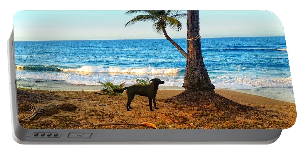 Dog Portable Battery Charger featuring the photograph Beach Dog by Joseph Caban