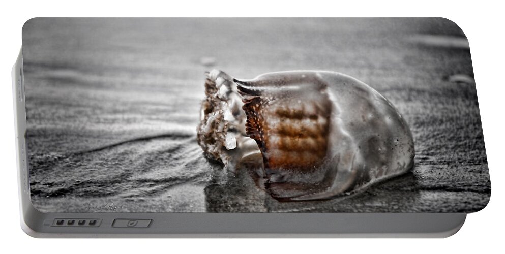 Popek Portable Battery Charger featuring the photograph Beach Jelly by Sharon Popek