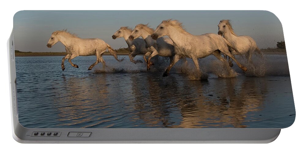 Horses Portable Battery Charger featuring the photograph Beach Run by Wade Aiken
