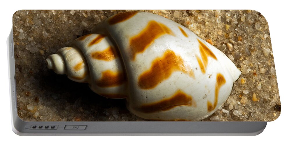 Shell Portable Battery Charger featuring the photograph Beached Shell by Christopher Holmes