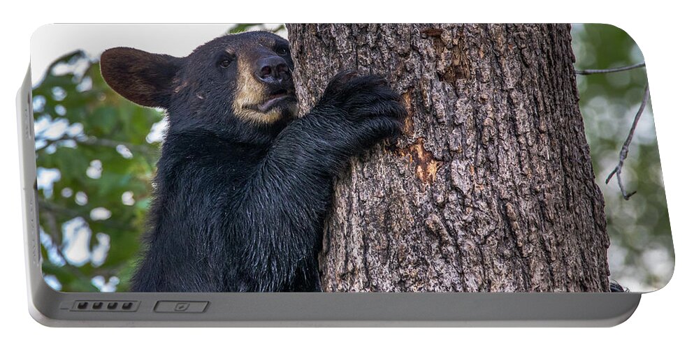 Bear Portable Battery Charger featuring the photograph Bear Cub-1261 by Norris Seward
