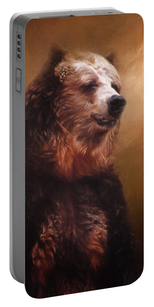 Animals Portable Battery Charger featuring the photograph Bear by David and Carol Kelly