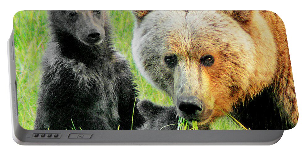 Grizzly Portable Battery Charger featuring the photograph Bear Family Portraait by Ted Keller