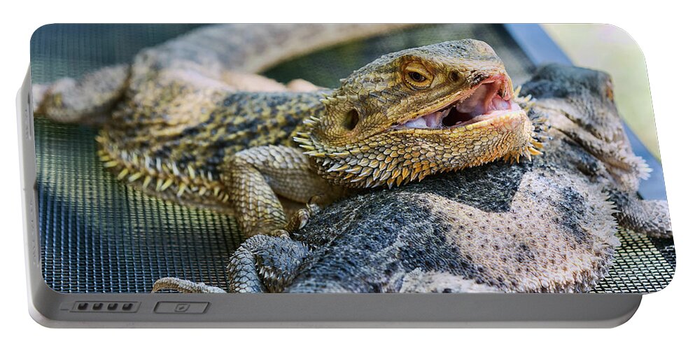 Bearded Portable Battery Charger featuring the photograph Bearded Dragon Friends by Eddie Yerkish