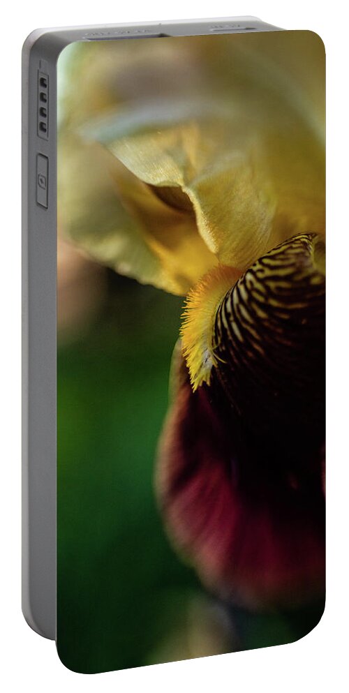  Iris Portable Battery Charger featuring the photograph Bearded Iris by Pamela Taylor
