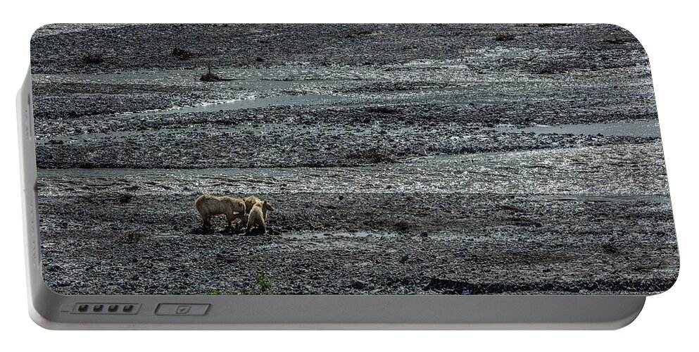 Grizzly Bear Portable Battery Charger featuring the photograph Bears In Denali by Randall Evans