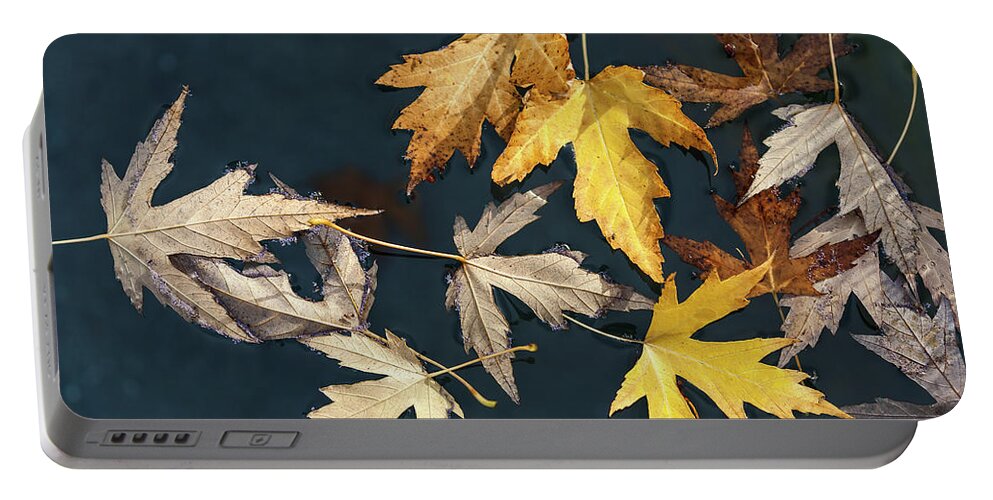Fall Portable Battery Charger featuring the photograph Beauties Of the Autumn by Jonathan Nguyen