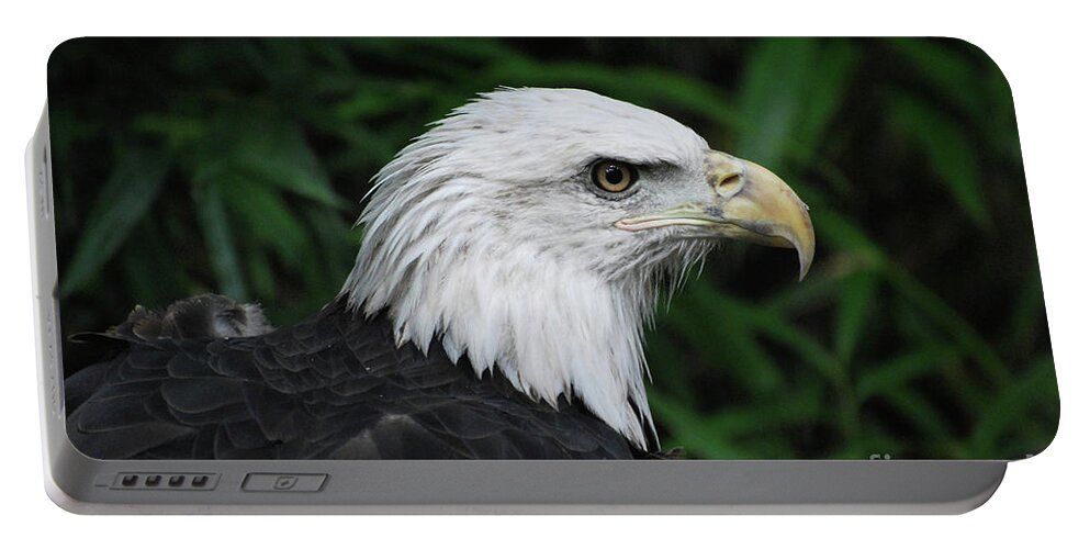 Eagle Portable Battery Charger featuring the photograph Beautiful American Bald Eagle by DejaVu Designs