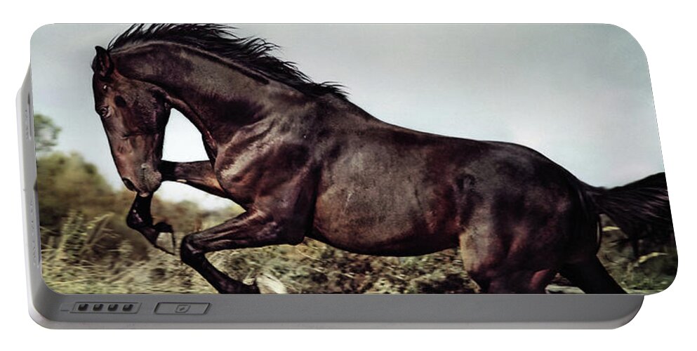 Horse Portable Battery Charger featuring the photograph Beautiful black stallion horse running on the stormy sky by Dimitar Hristov
