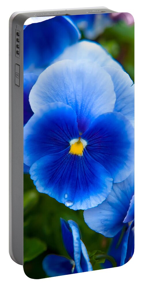 Spring Flowers Portable Battery Charger featuring the photograph Beautiful Blues by Az Jackson
