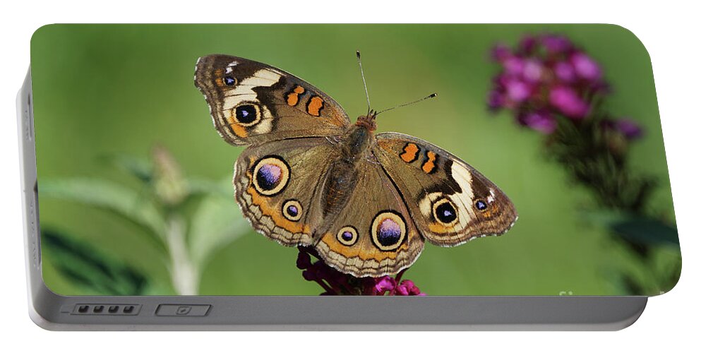 Butterfly Portable Battery Charger featuring the photograph Beautiful Buckeye Butterfly by Robert E Alter Reflections of Infinity