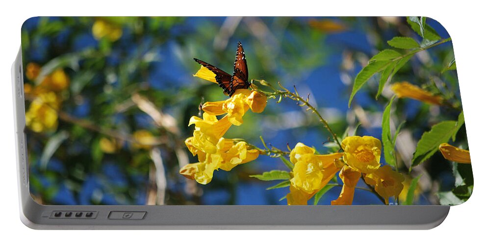 Butterfly Portable Battery Charger featuring the photograph Beautiful Butterfly by Donna Greene