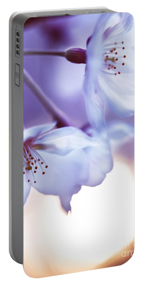 Blossom Portable Battery Charger featuring the photograph Beautiful cherry blossom and rising sun by Maxim Images Exquisite Prints