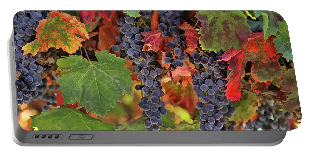 Wine Portable Battery Charger featuring the photograph Beautiful Harvest Vineyard by Stephanie Laird