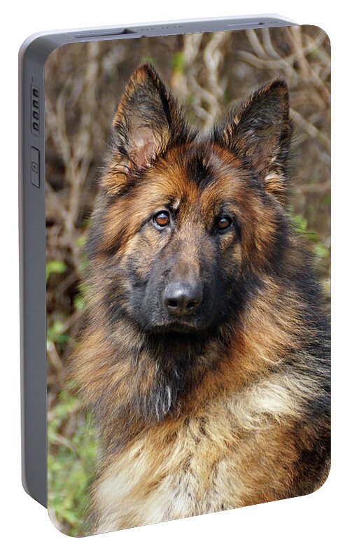 German Shepherd Portable Battery Charger featuring the photograph Beautiful Jessy by Sandy Keeton